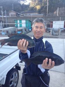 40cmOverも上がって数も釣れてます！…