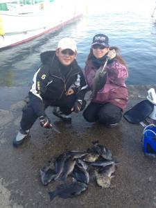 双子の親にて夫婦でグレ大漁です☆　	