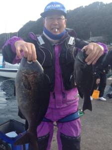 お昼からバタバタと釣れていましたヨ！萩尾グレ釣果