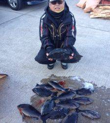 40cm Over２枚有りました☆