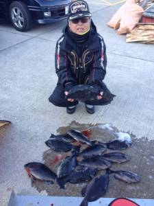 40cm Over２枚有りました☆