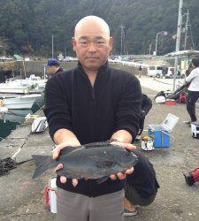 アシカでフカセ釣り、潮がいってるときにバタバタとグレゲット！