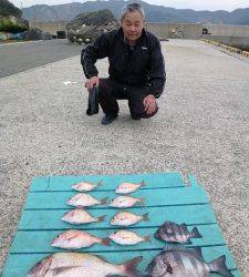 ●絶好の釣り日和でした●沖一文字かご釣り釣果