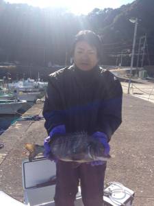 沖の長島で珍しくチヌが上がりました