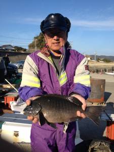 八丈でフカセ釣り、良型グレがあがりました☆…