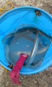 大蔵海岸でのサヨリ釣れっぱなしでした♪♪