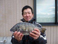 【4日湯浅の磯】チヌ良サイズが釣れています！