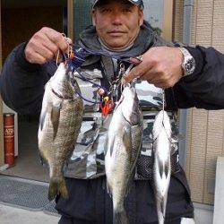 湯浅の磯で紀州釣り、チヌ3枚あがりました！