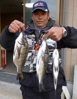 湯浅の磯で紀州釣り、チヌ3枚あがりました！