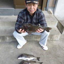 湯浅の磯、良いサイズのチヌ釣れています♪