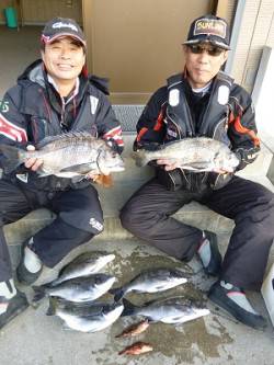 湯浅の磯でのフカセ・二人で良型チヌ含む7枚…
