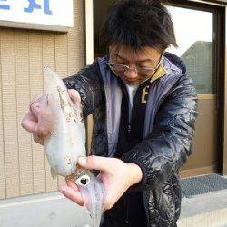 湯浅でエギング、3.5号シルバー系のエギでアオリＧＥＴ！