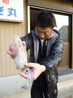 湯浅でエギング、3.5号シルバー系のエギでアオリＧＥＴ！