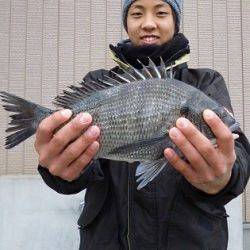 チヌが好調♪　湯浅の磯