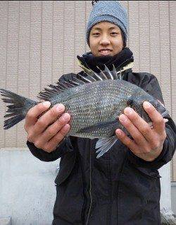 チヌが好調♪　湯浅の磯