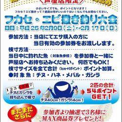 【ベランダでエビ撒き♪】芦屋のエビ撒き情報