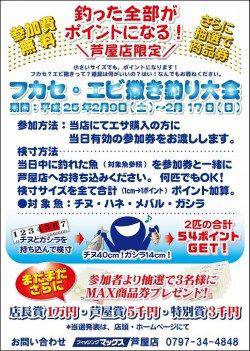 【ベランダでエビ撒き♪】芦屋のエビ撒き情報