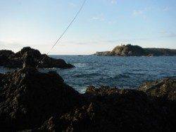 冬は磯グレ♪ 串本樫野エリア