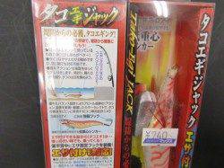 兵庫突堤、大ダコ情報