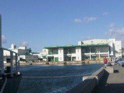 エビ撒きズボ釣りで兵突名物の「ポン」！