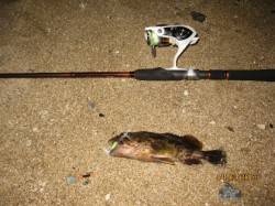 アジュール舞子～西舞子、ロックフィッシュ！…