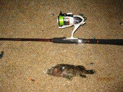 アジュール舞子～西舞子、ロックフィッシュ！