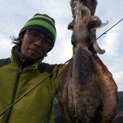 デカイカ接岸を開始！【吉田聡氏連載記事No.05】