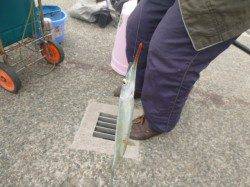 サヨリ魚群が発生！【アジュール舞子リアル】