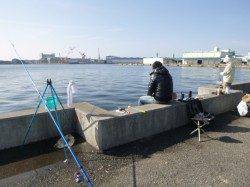 兵庫突堤ＲＴ、サビキでタナゴ