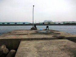 今日はシブメ?4日夕方泉大津