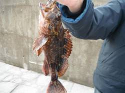 翼港、カンダイリベンジ！！