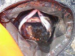 好調なスタート♪泉大津RT（10日・朝）