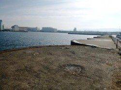 食コン★ハネ２本★