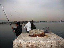 貴重な1本!12日夕方泉大津RT