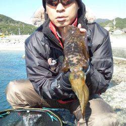 江住漁港 夜のヤエンでアオリイカ4ハイ