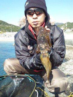 江住漁港 夜のヤエンでアオリイカ4ハイ