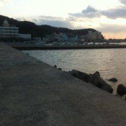 加太漁港に行って来ました！