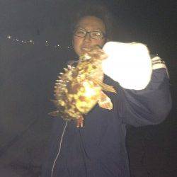 外向きをスローに引いてガシラGET!雑賀崎