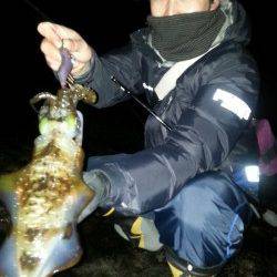 見草漁港 エギングでアオリイカ＆ヤリイカ