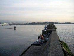 チヌも釣れてます♪泉大津RT。夕方