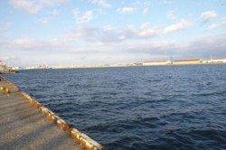 貝塚水路リアルタイム♪