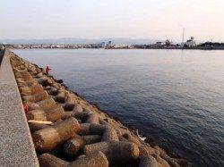 なんとか1匹！泉大津RT。夕方