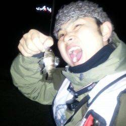 加太漁港でメバリング、メバルとガシラの釣果