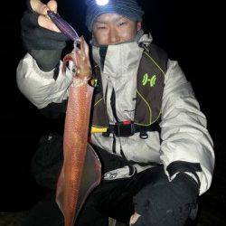 見草漁港 エギングでアオリイカ＆ヤリイカ☆