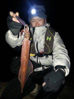 見草漁港 エギングでアオリイカ＆ヤリイカ☆