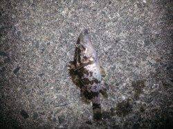 尾崎でメバリング、短時間釣行♪