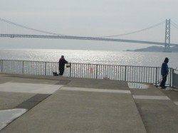 【サヨリがアツい】大蔵海岸リアルタイム