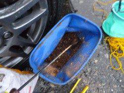 朝の兵庫突堤ＲＴ！