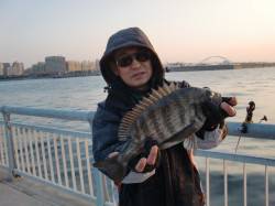  【目の前でチヌＧＥＴ】南芦屋浜リアルタイ…