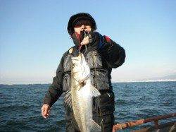 【良型釣れた】鳴尾浜RT(24日)